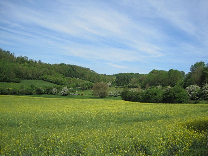 Sentier Le Donjon - Version courte