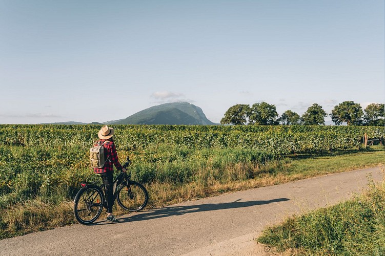 Sur les traces du Tour de France