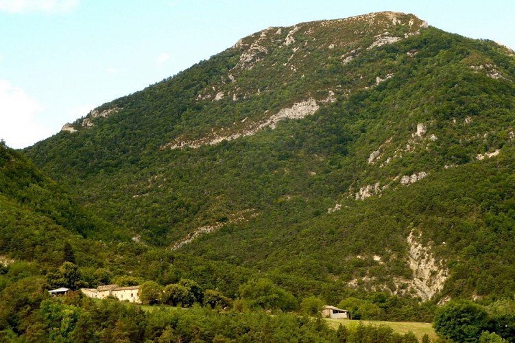 Autour de Montferrand (Drôme)