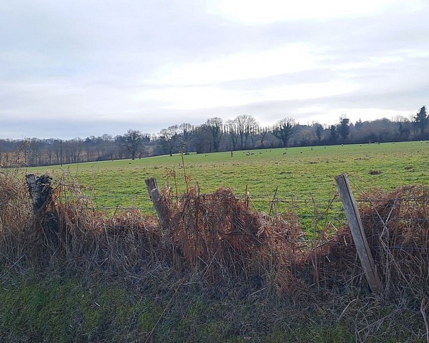 Les sables du Perche