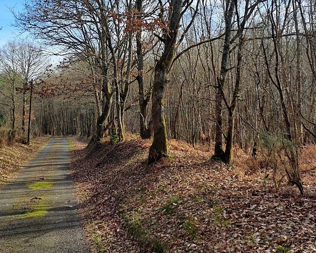 Les sables du Perche