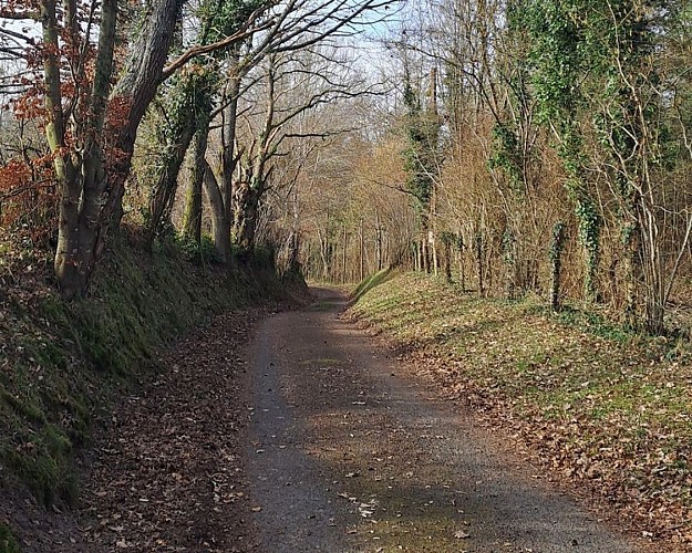 Les sables du Perche