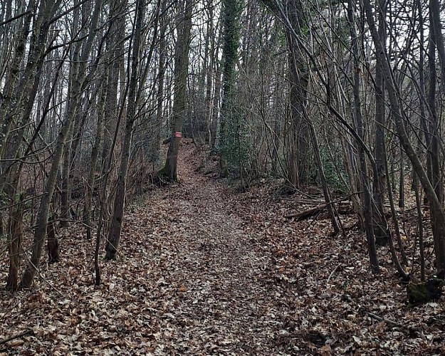 Les sables du Perche