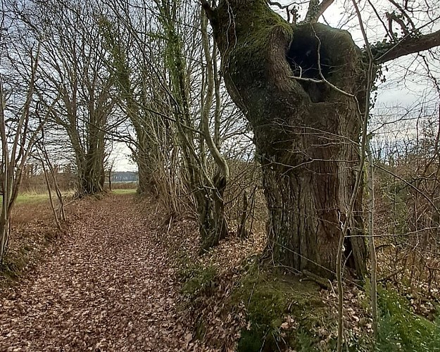Les sables du Perche