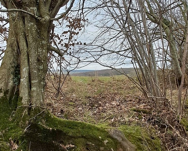 Les sables du Perche