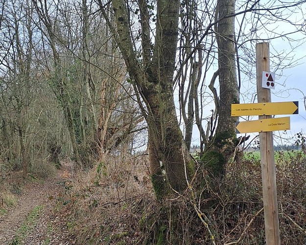 Les sables du Perche
