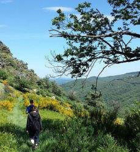 Sentier du Vallon de Saint Flour