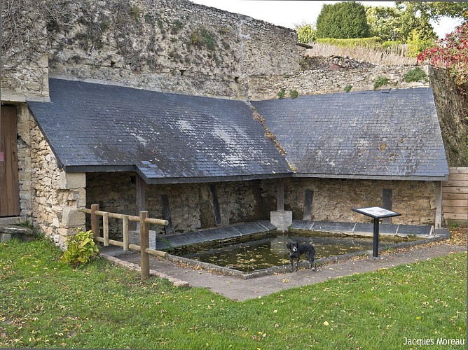 CIRCUIT VTT COMBINÉ N°56 + N°57