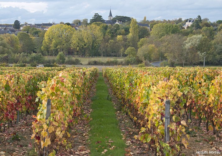 CIRCUIT VTT COMBINÉ N°56 + N°57