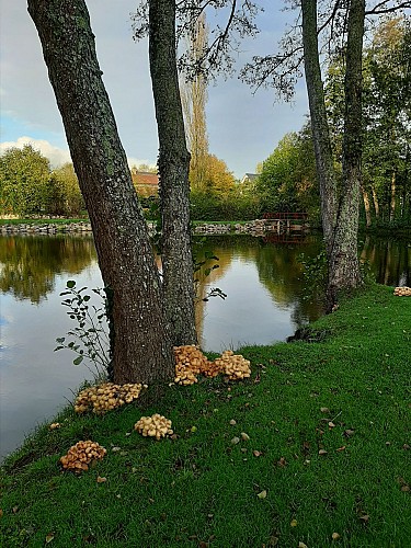 Circuit du Grenouilleau