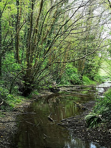 Source de la ternoise