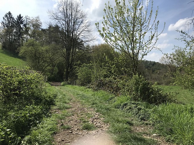 09 - Balade équestre ADCC au départ de l'abbaye de Val-Dieu vers les Fourons et Warsage - 20 kms