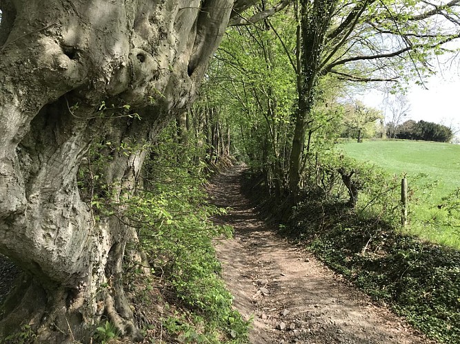 09 - Balade équestre ADCC au départ de l'abbaye de Val-Dieu vers les Fourons et Warsage - 20 kms