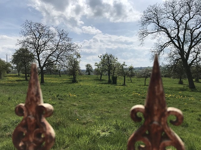 09 - Balade équestre ADCC au départ de l'abbaye de Val-Dieu vers les Fourons et Warsage - 20 kms