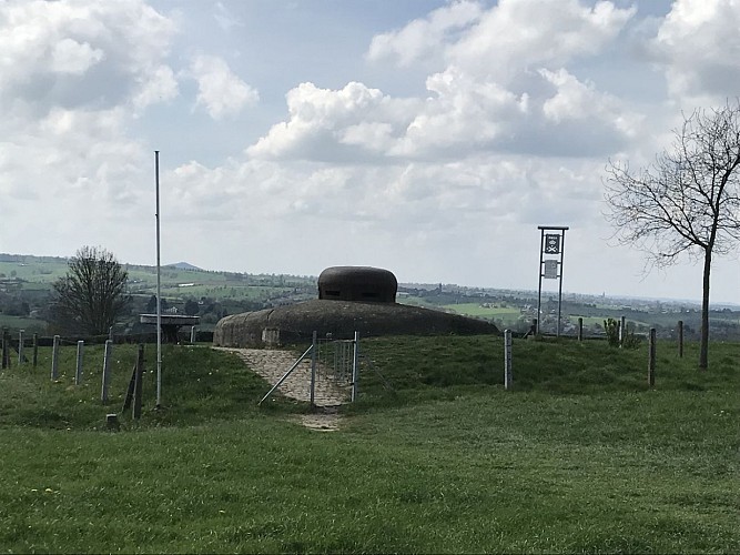 09 - Balade équestre ADCC au départ de l'abbaye de Val-Dieu vers les Fourons et Warsage - 20 kms