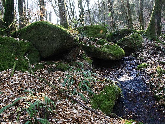 Compreignac Le tour de bourg