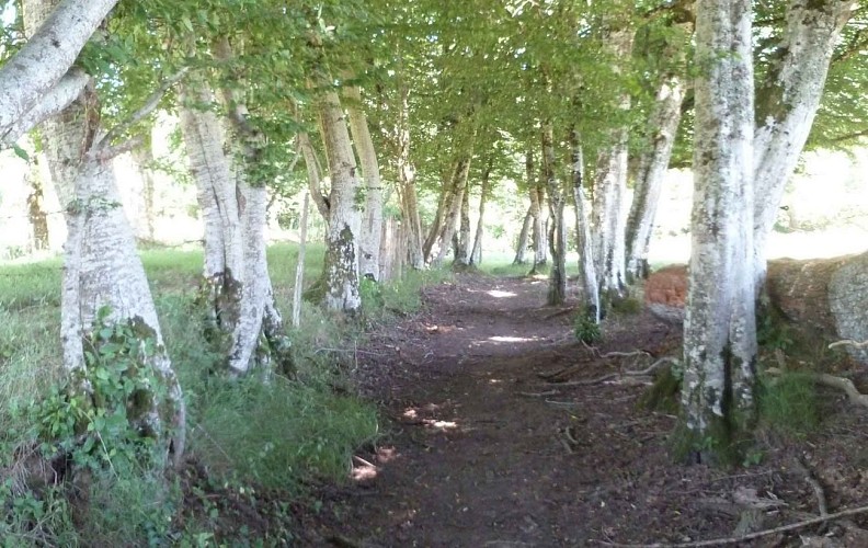 Les sentiers de Meilhac