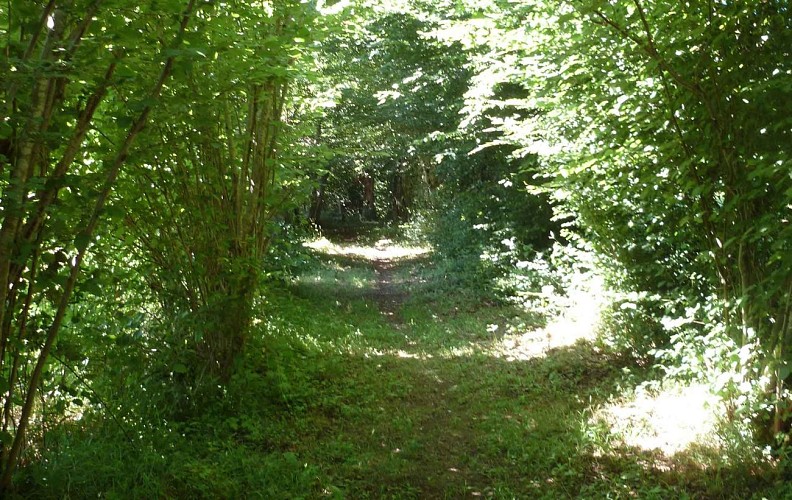 Les sentiers de Meilhac