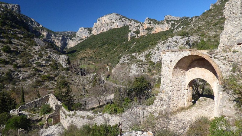 DE LA HAUTE À LA MOYENNE VALLÉE DE L’HÉRAULT, UN VIGNOBLE MÉDIÉVAL