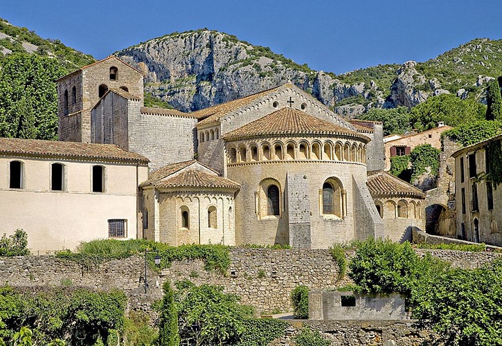 DE LA HAUTE À LA MOYENNE VALLÉE DE L’HÉRAULT, UN VIGNOBLE MÉDIÉVAL