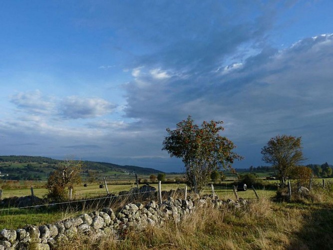 Les chemins bordés de murets dans la vallée glaciaire du Bès