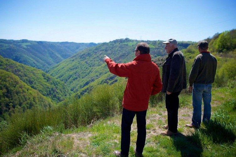 Vue sur les vallée du Davignon et de la Bromme