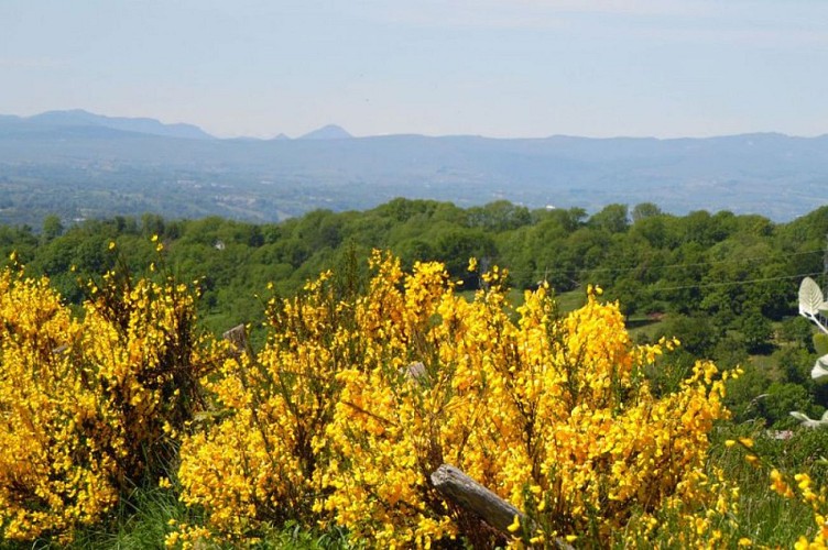 Admirer la vue sur les Monts du Cantal