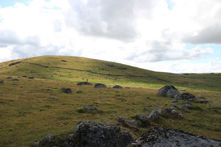 Plateau de l'Aubrac