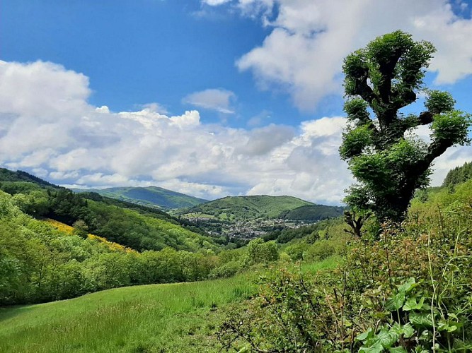 Randonnée Les Vaysseries