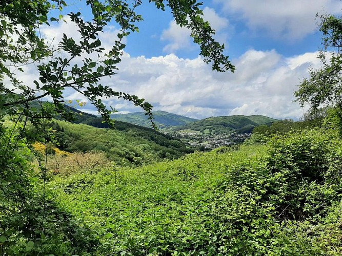 Randonnée Les Vaysseries