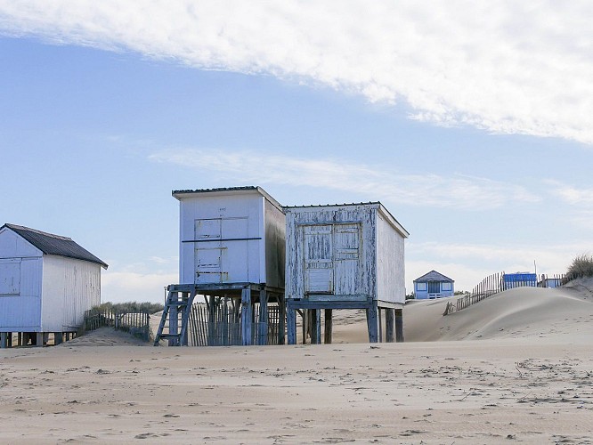 Randonnée La Plage, la Dune, M. Louis Blériot