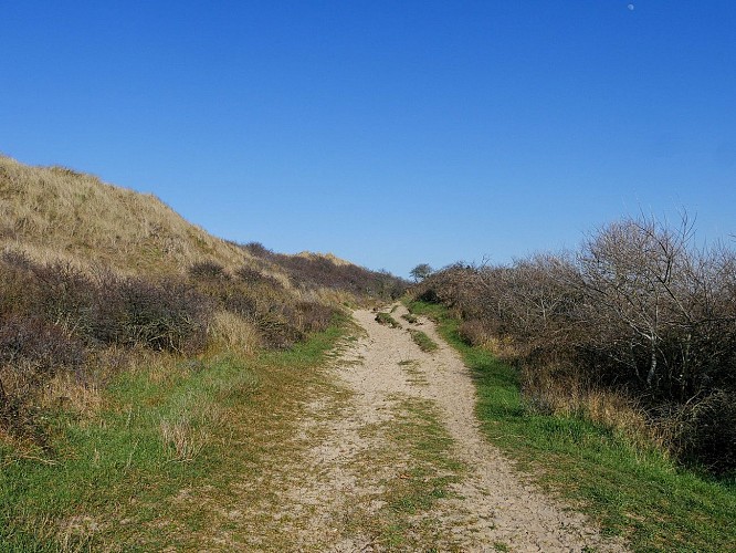 Randonnée La Plage, la Dune, M. Louis Blériot