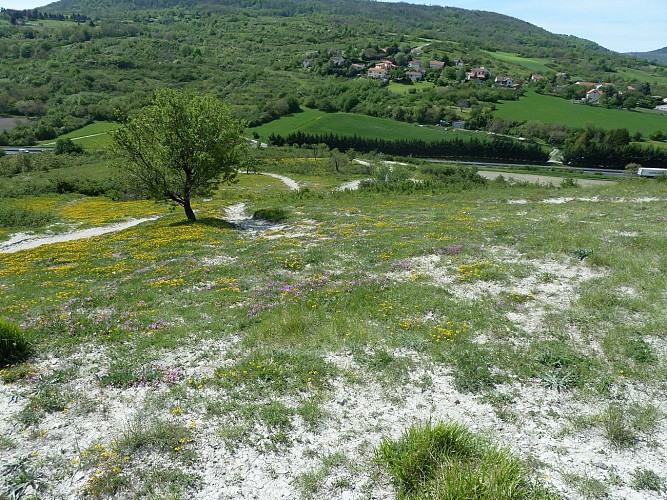 Espace Naturel Sensible du PUY d'AUBIERE - Le Sentier des Ophrys - Patrimoine historique