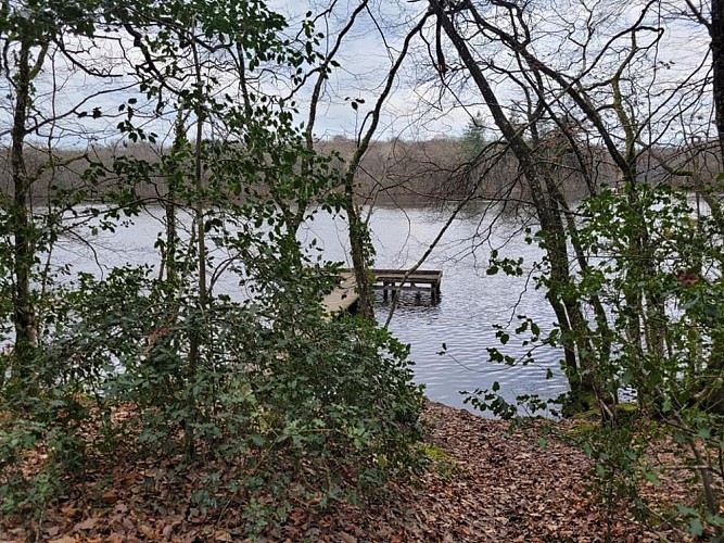 forêt Corbière Marion Le Freine