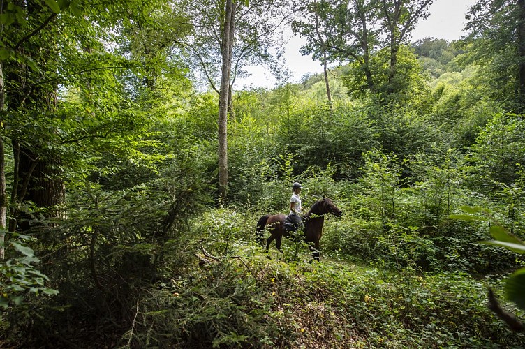 ©dbcreation-MTFSH (53)