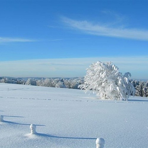 Balade en raquettes à neige au col de la Schlucht