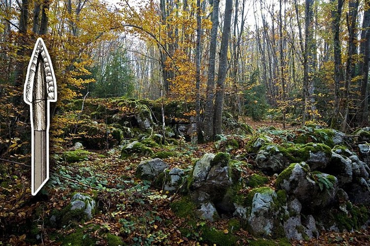 Lapiaz dans les Coulmes à Presles