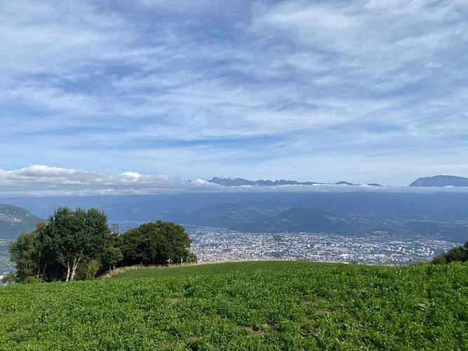 Vue sur la vallée de Grenoble