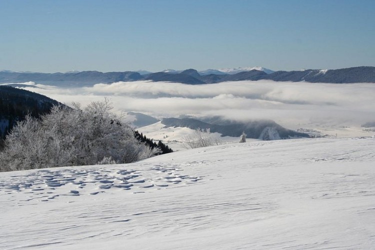Plateau de la Molière