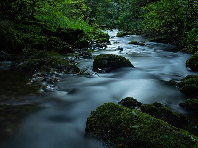 Le Bec de l'Aigle et les gorges du Bruyant