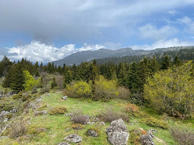 Vue sur les crêtes depuis Les Ramées