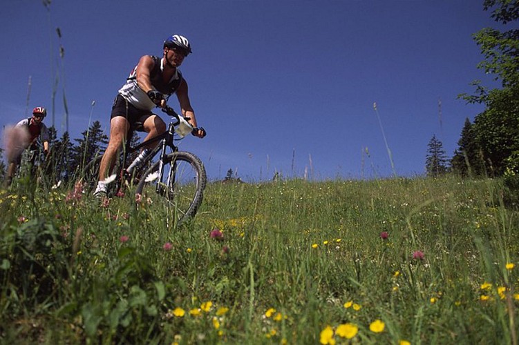 Le Trièves à VTT