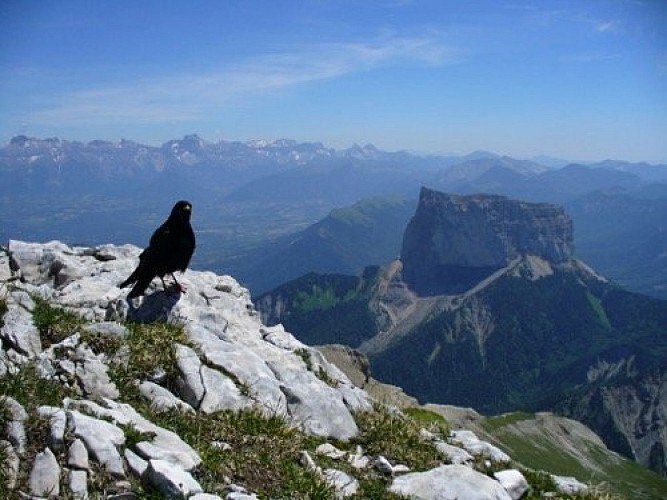 Sommet du Grand Veymont