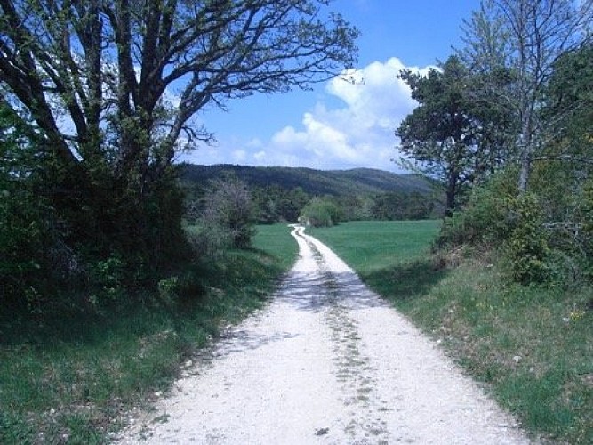 Plateau du Vellan