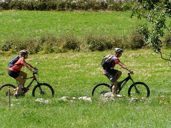 Le VTT en toute liberté