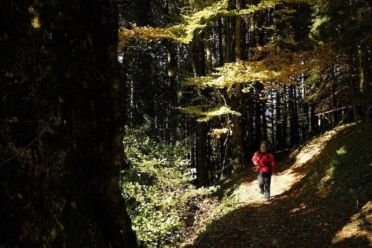 Les Ruines du Château de Flandaines