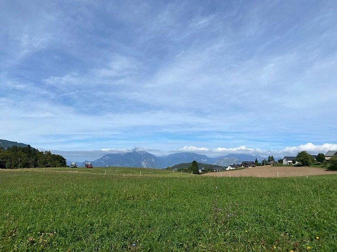 Vue sur la chartreuse