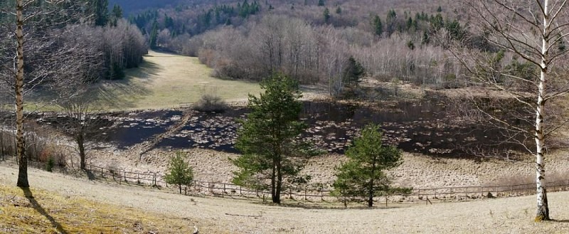 La Tourbière du Peuil au début du printemps