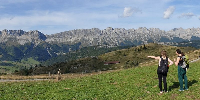 Vue sur la barrière Est du Vercors depuis l'alpage du Serpaton