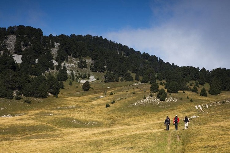 Randonneurs sur les hauts plateaux du Vercors